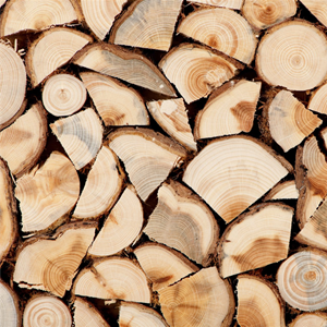 Hardwood Dried Logs